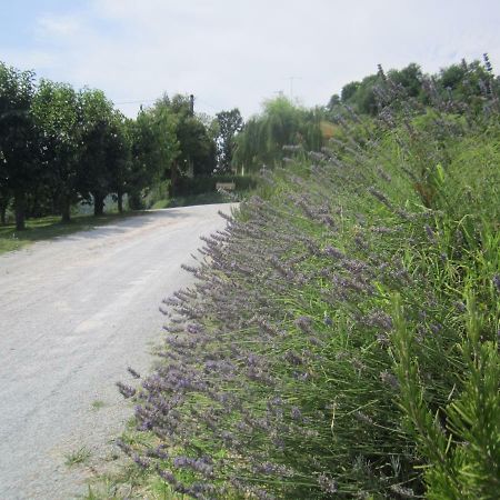 Le Spighe Agriturismo Cesena Luaran gambar