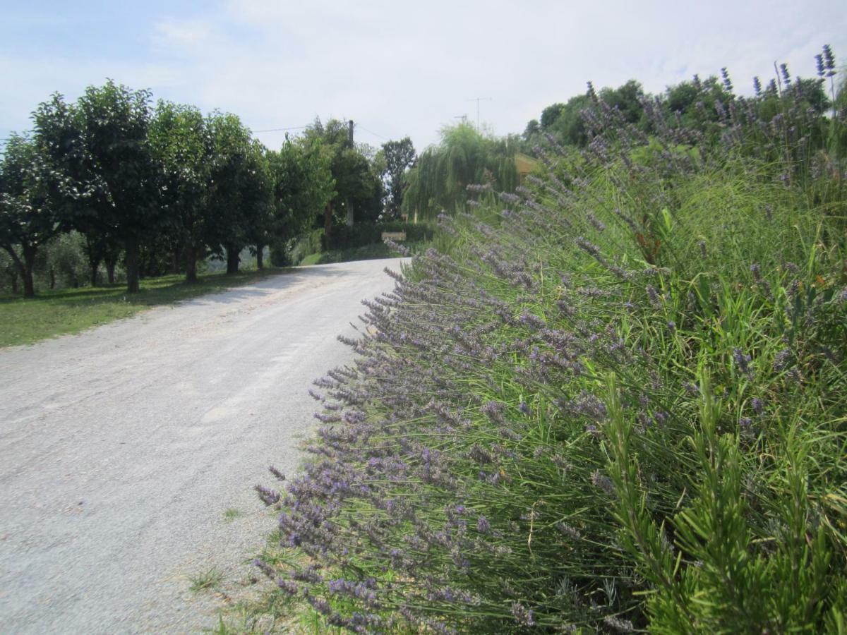Le Spighe Agriturismo Cesena Luaran gambar