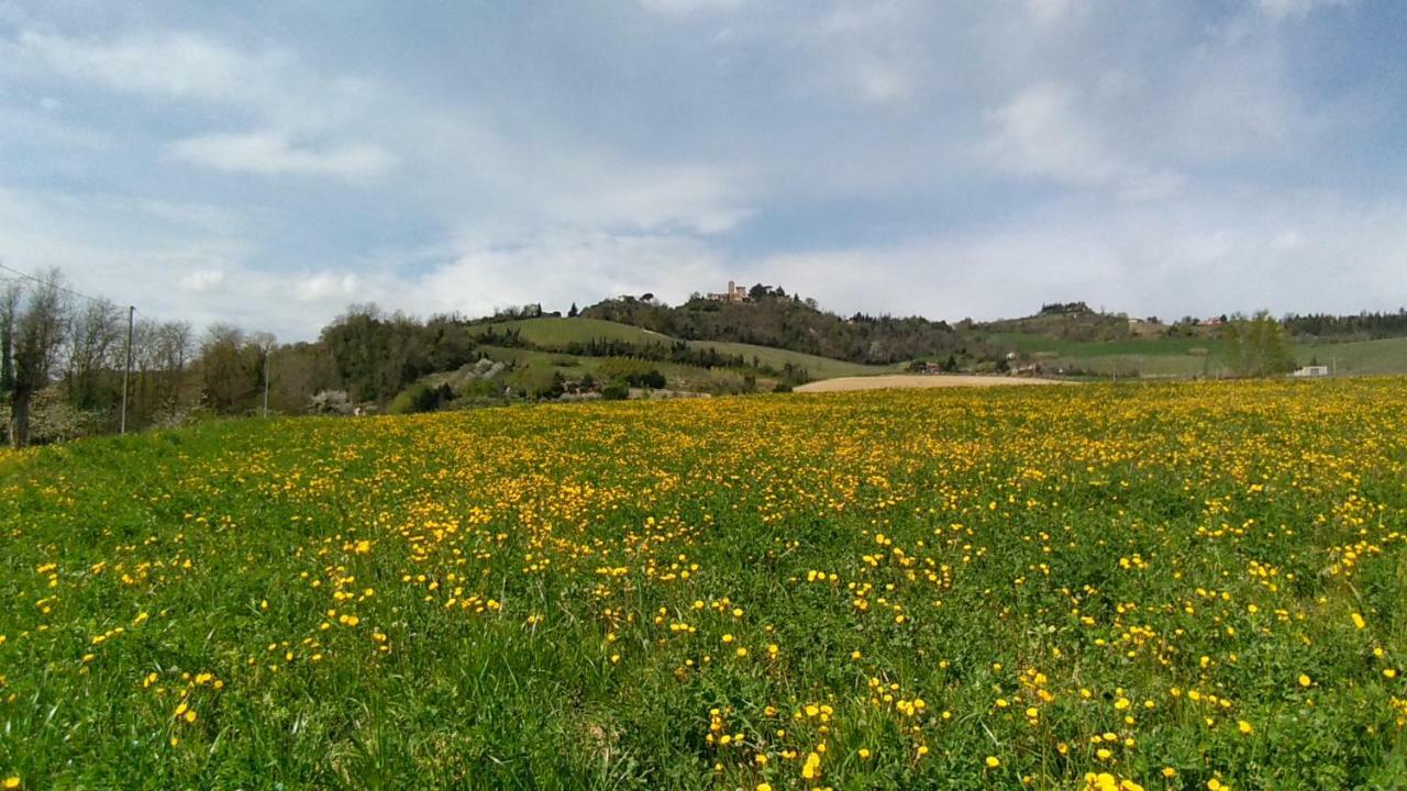 Le Spighe Agriturismo Cesena Luaran gambar