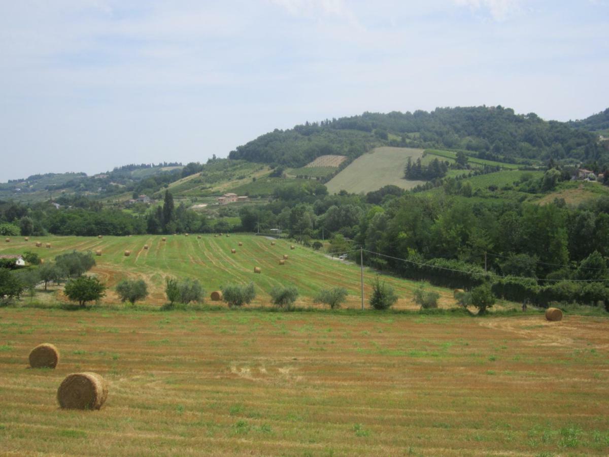 Le Spighe Agriturismo Cesena Luaran gambar